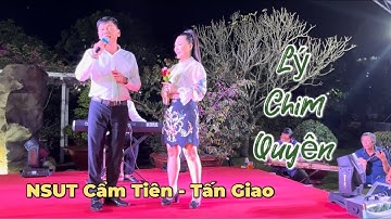 NSUT Cẩm Tiên & NSUT Tấn Giao "LÝ CHIM QUYÊN" | Phi Nguyễn Official
