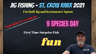 St. Croix River Jig Fishing Walleye's and Multi Species day in Minnesota
