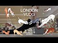 【🇬🇧London】曇りの多い国だからメンタルヘルス守っていく / WORKOUT / EXHIBITION / EVENT