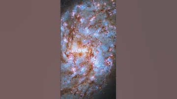 NGC 1087, Hubble Captures A Beautiful Barred Spiral Galaxy, #shorts