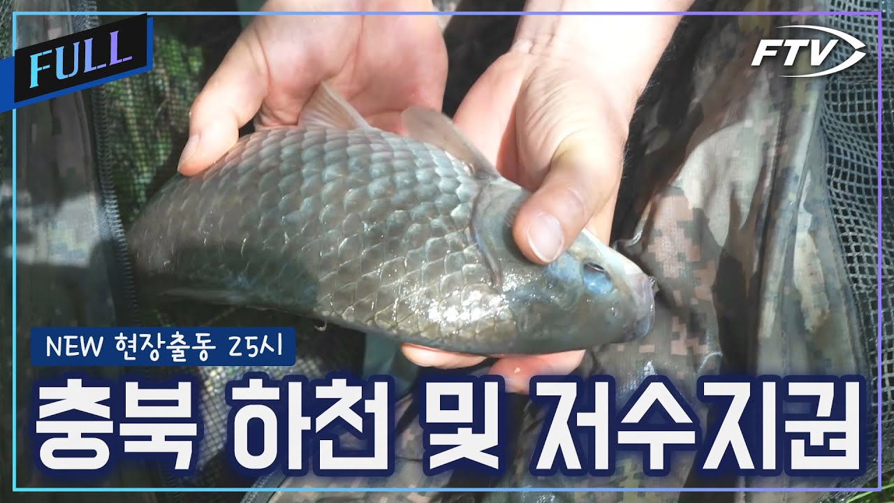 충북 보은권 하천 및 저수지 조황출동[NEW현장출동 25시/18회]