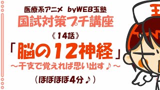 医療プチ講座14回「脳の１２神経」ｂｙWEB玉塾