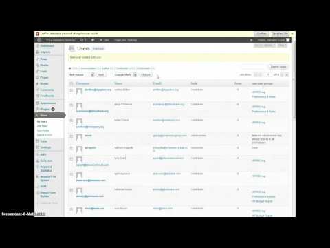 Wordpress Add & Tag User