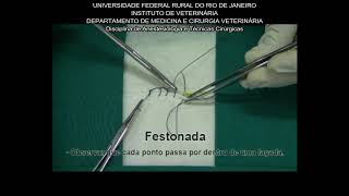21- Festonada