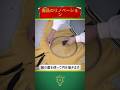 廃品のリノベーション #チップ #shorts