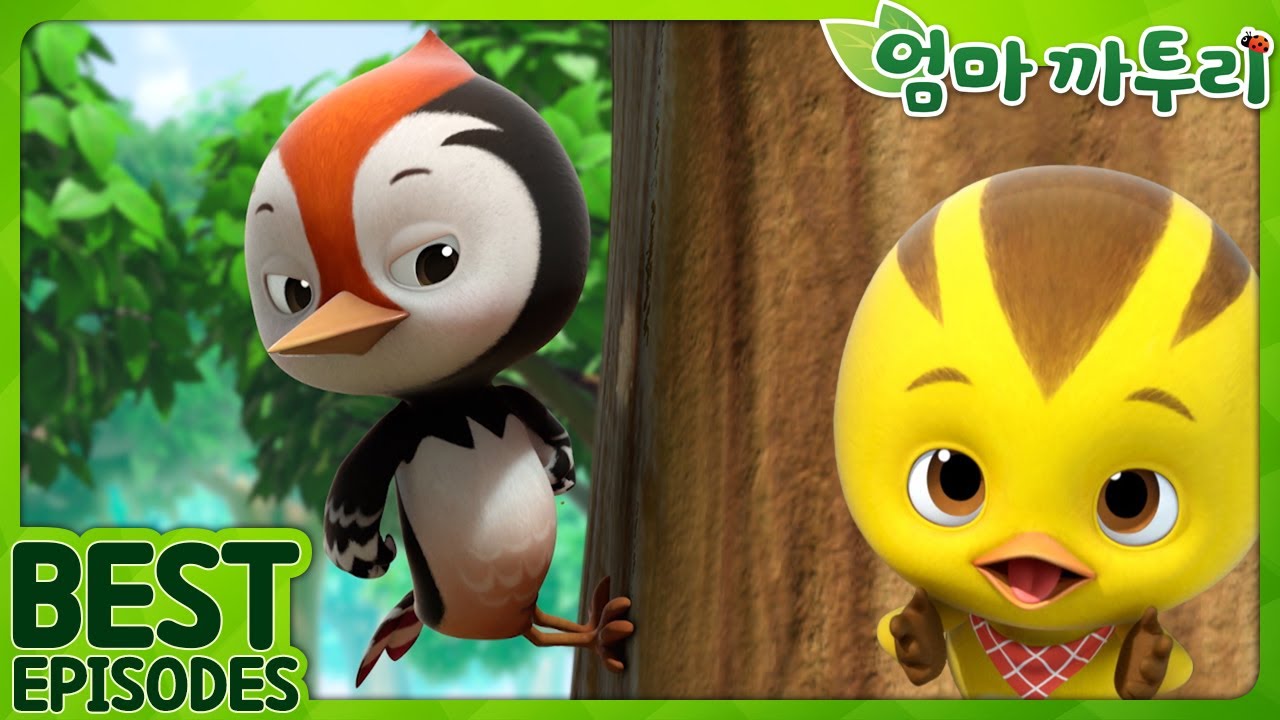 엄마 까투리 | Best | 날아다니는 친구들을 소개합니다! | 베스트 에피소드 모음