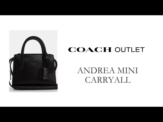 COACH アンドレア ミニ Coach Outlet Andrea Mini Carryall (my super tiny carryall) - YouTube