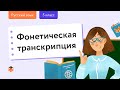 Русский язык. Фонетика: Фонетическая транскрипция. Центр онлайн-обучения «Фоксфорд»