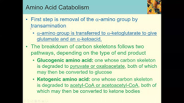 Chapter18 Part1 Video