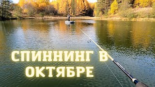 Рыбалка на спиннинг, ловля на джиг и микроджиг осенью 2021. Ловля с лодки в октябре.