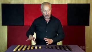 Introduction to NAL Stick Shakers