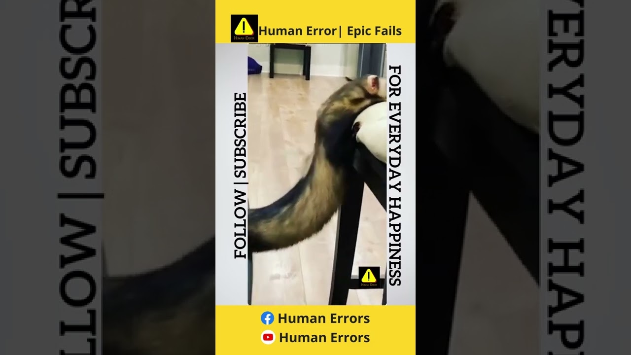 Human Fails | Episode 96 | Human Errors 