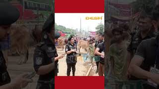 *আসন্ন ঈদ-উল-আযহা উপলক্ষে বিভিন্ন প’শু’র হাট পরিদর্শন  নিরাপত্তা ব্যবস্থা জোরদার করেছে র‌্যাব-১০।