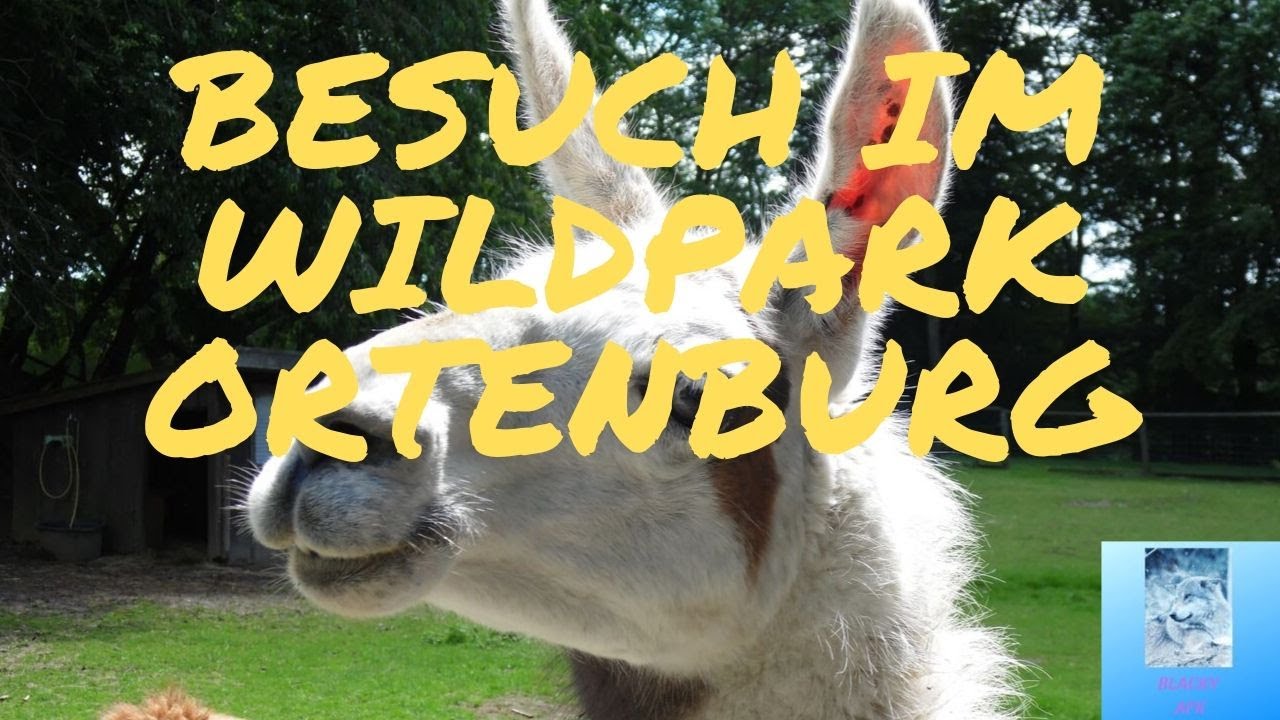 Besuch des Wildparks in Ortenburg!