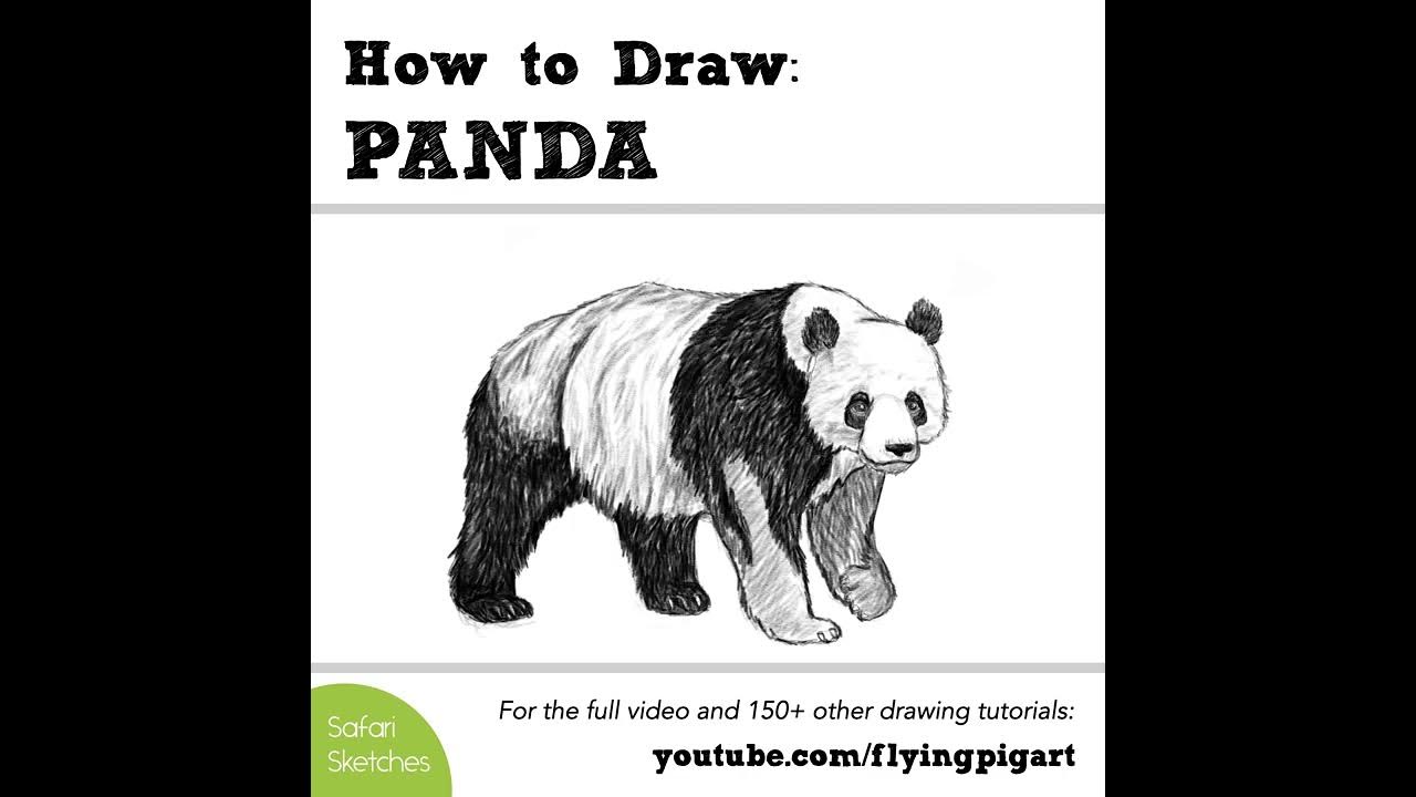 How to Draw a Realistic Panda, Draw Real Panda, Step by Step, Realistic,  Drawing Technique, FREE Online Drawing Tuto…