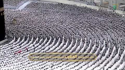 تلاوة تأسر القلب لخواتيم سورة النازعات للشيخ د. #الوليد_الشمسان مغرب الجمعة 27 ربيع الأول 1447هـ 
