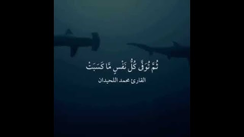 القارئ محمد اللحيدان / واتقوا يوما ترجعون فيه إلى الله