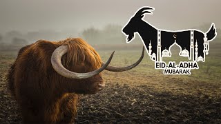 ঈদ শুভেচ্ছা ভিডিও।Eid wish Tiktok Trending Video Editing in Capcut|Capcut Video Editing |Capcut|2021 screenshot 4