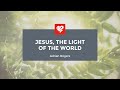 Adrian Rogers: Jesus, the Light of the World (1895)