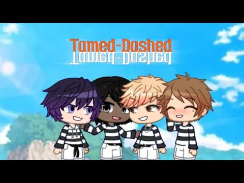 ENHYPEN (엔하이픈) 'Tamed-Dashed' by The Music Freaks | Short GCMV