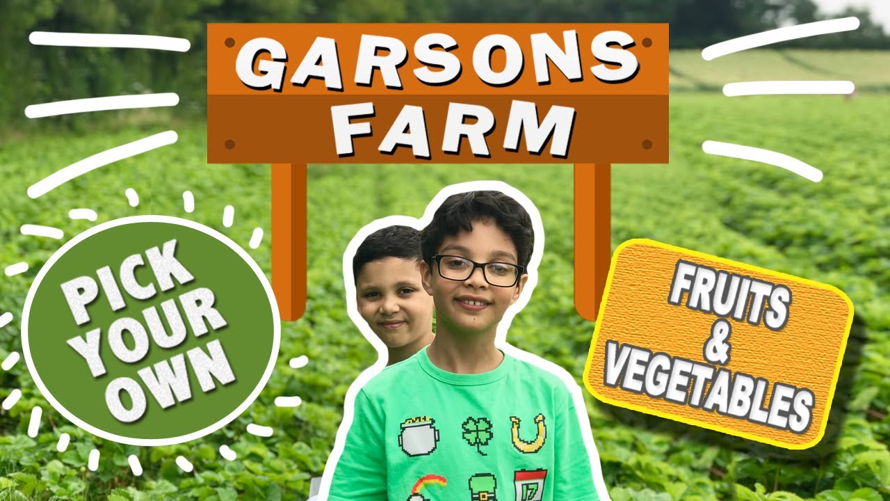 Garsons Farm Pick your Own Farm YouTube