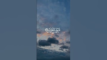 تلاوة هادئة    إسلام صبحي   القرآن الكريم
