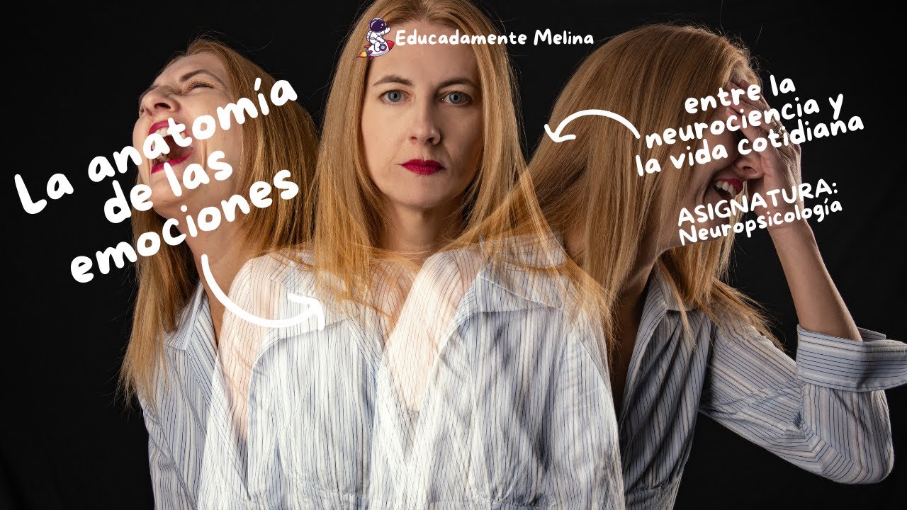 La anatomía de las emociones entre la neurociencia y la vida cotidiana