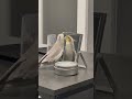 マリオを56しまくるオカメインコのふーさん