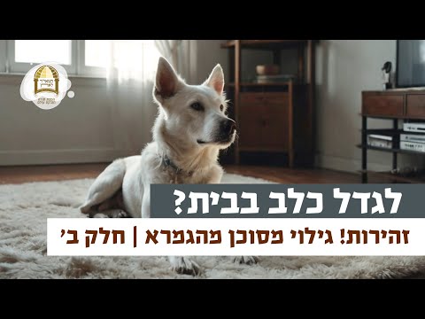 לגדל כלב בבית? זהירות! גילוי מסוכן מהגמרא - חלק ב' | רגע של אור עם מו"ר הרב ישראל אברג'ל שליט"א
