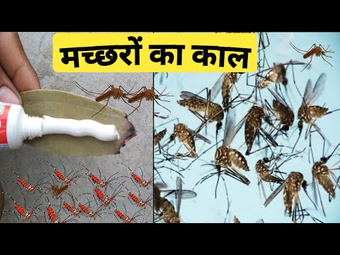 वीडियो: अल्ट्रासोनिक मच्छर भगाने वाला: सड़क और घर के लिए अल्ट्रासाउंड वाला उत्पाद, 50 मीटर और अन्य दूरी पर, समीक्षा