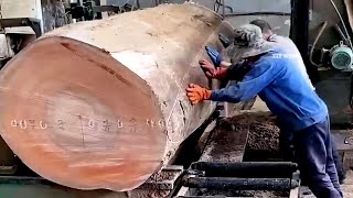 HOW TO CUTTING WOOD PROFESSIONALLY EP13 #satifying #cutting #wood