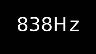 Speaker Sound Test 838Hz
