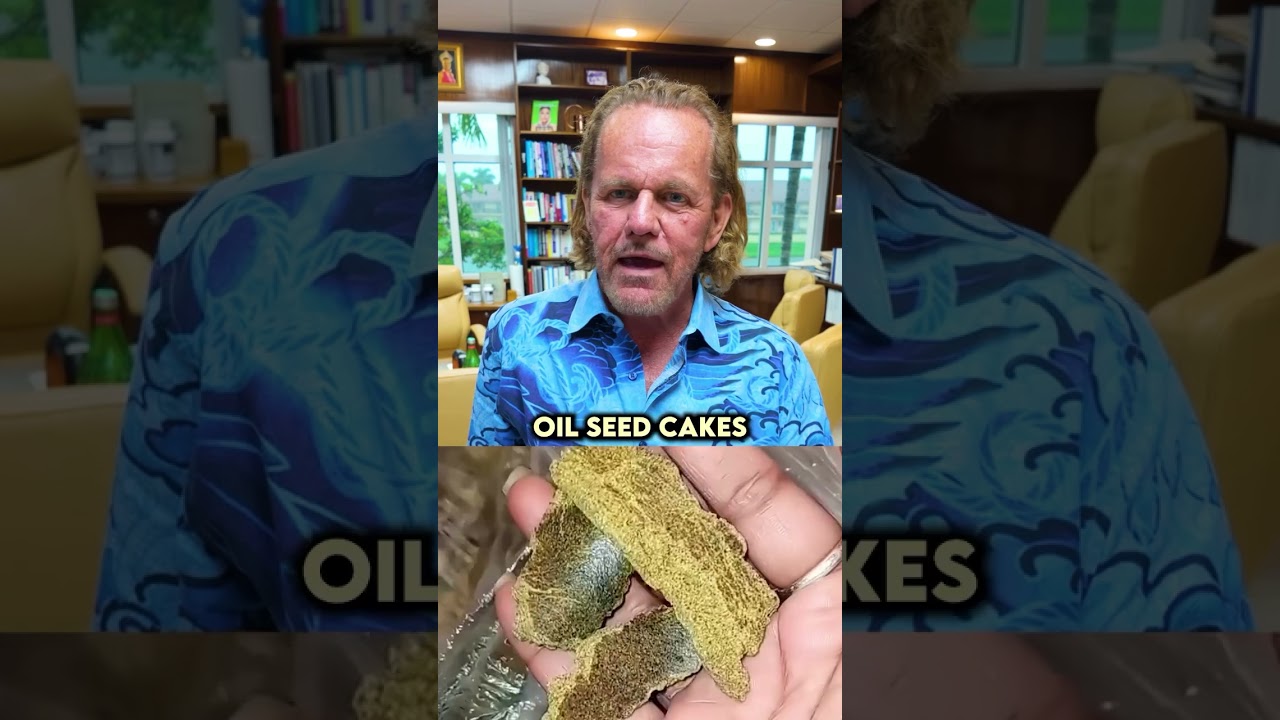 What in the world are we feeding cows? 