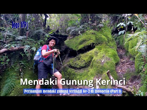 Jago 179| Mendaki Gunung Kerinci (3.805 Mdpl), Gunung Tertinggi ke-2 di Indonesia