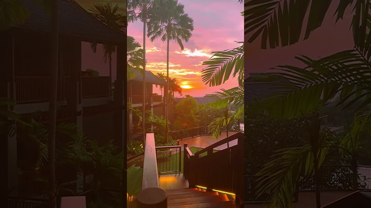 Video under the number:95432