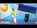 SteelSeries Apex Pro Mini ASMR 😴 Piece Control 2v2 🏆 Satisfying Keyboard Fortnite 240 FPS 4K