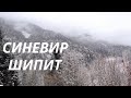 Озеро СИНЕВИР, водопад ШИПИТ - Экскурсия со Львова в Карпаты зимой