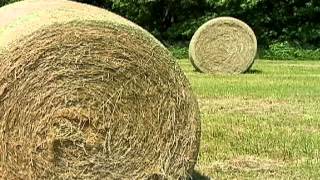 Virginia Farm Bureau - ABC's of Ag - Hay
