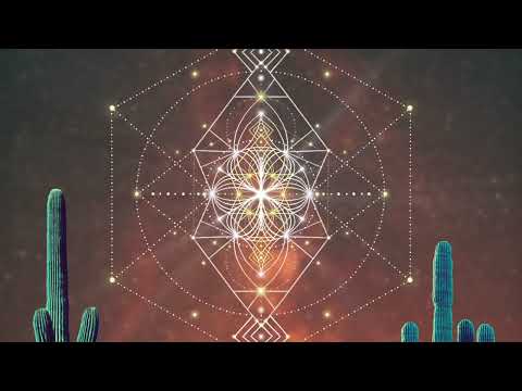 Lagartijeando - Sin Rumbo a Casa