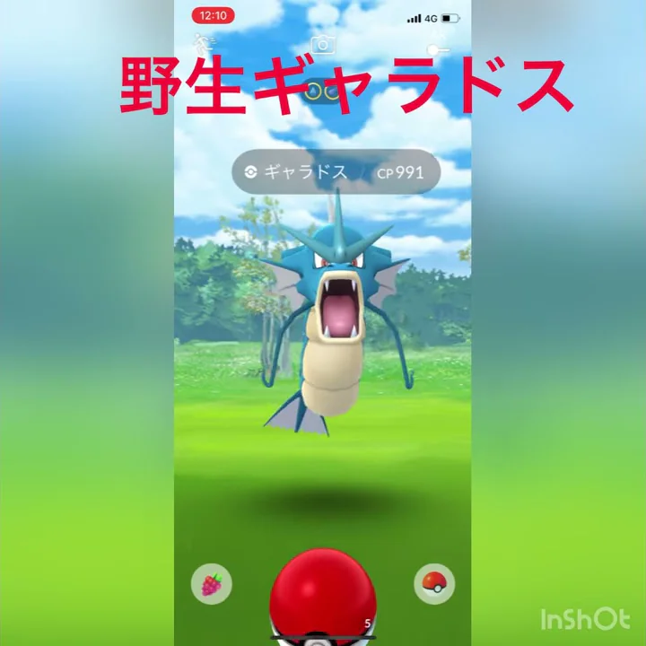 ギャラドスの物体 X を取り込む