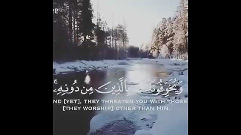 القران الكريم || أَلَيْسَ اللَّهُ بِكَافٍ عَبْدَهُ ۖ  || ما تيسر من سورة الزمر