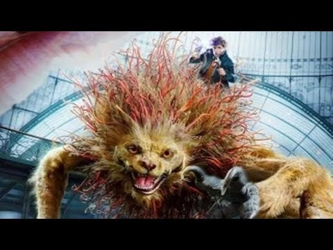 【爆首映】《神奇动物2》：一部既懵逼又好看的哈利波特电影