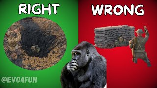 FIXING Your Enlisted Engineer MISTAKES