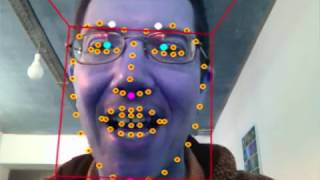 Aplicación de OpenFace + Assimp + Blender en Moldeo Software