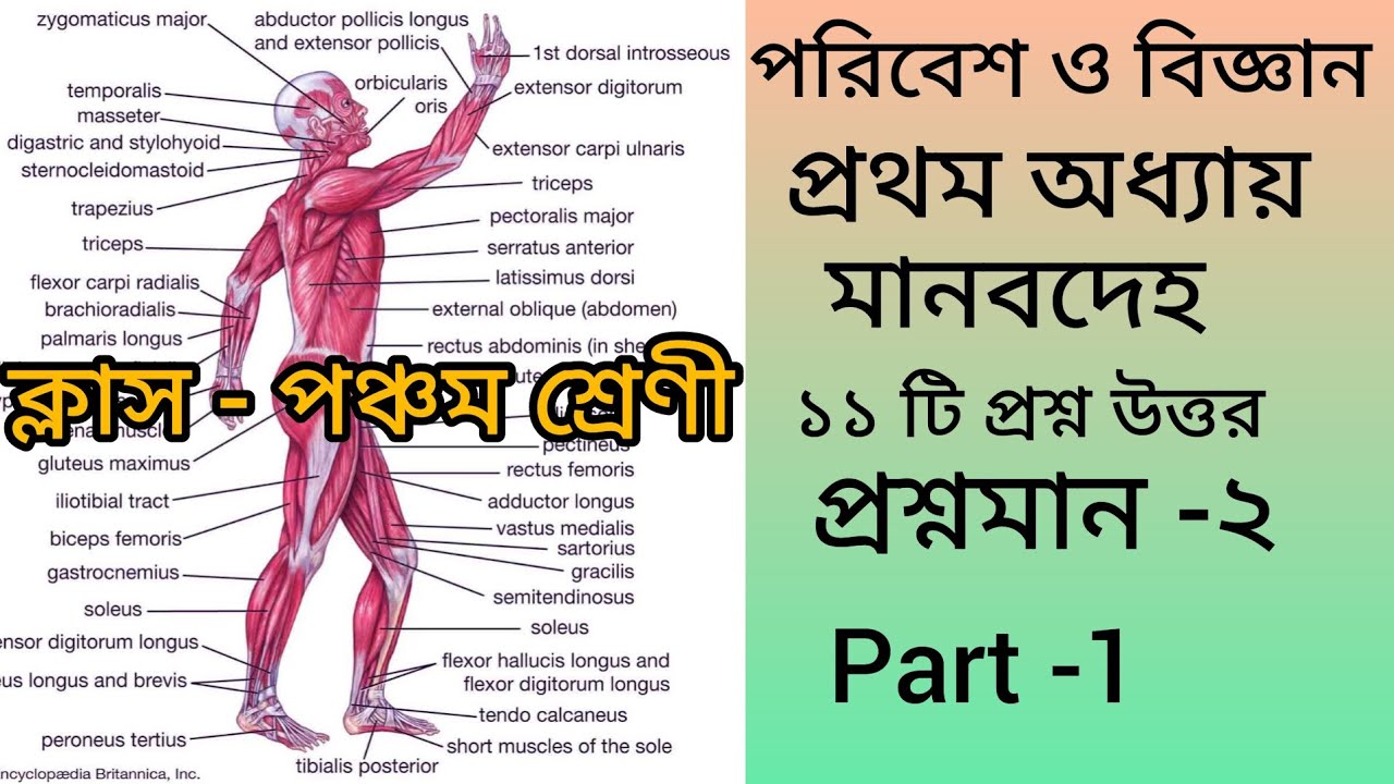 Class 4 Poribesh Chapter 13 Question Answer Assamese Medium