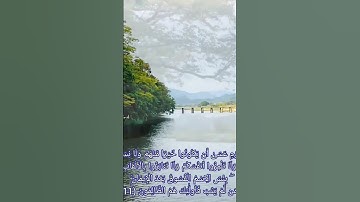 من سورة الحجرات الشيخ محمد ابوالدهب