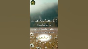 الأنعام آية 162 - قل ان صلاتي و نسكي - القارئ ياسر الدوسري