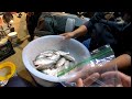 Crappie Fishing | Perfect Size for Deep Fry | Nuv Ntses Lom Zem Kawg!