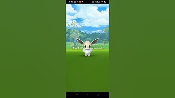 Shiny Eevee🤩🤩 #shorts #pokemongo #eevee #hoopa #luguia #shiny #shinyeevee #letsgo #shinypokemon