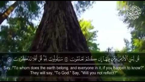 تلاوة سورة المؤمنون القارئ إدريس الهاشمي.